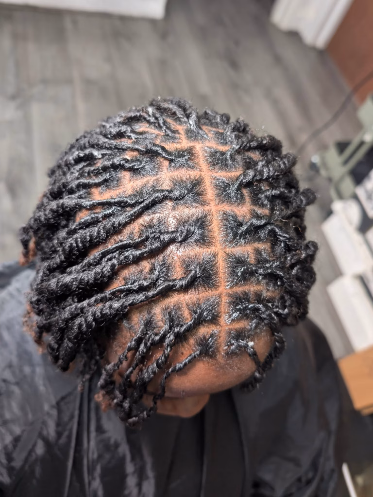 Fresh Retwist on Budding Locs with Precise Grid Parts
