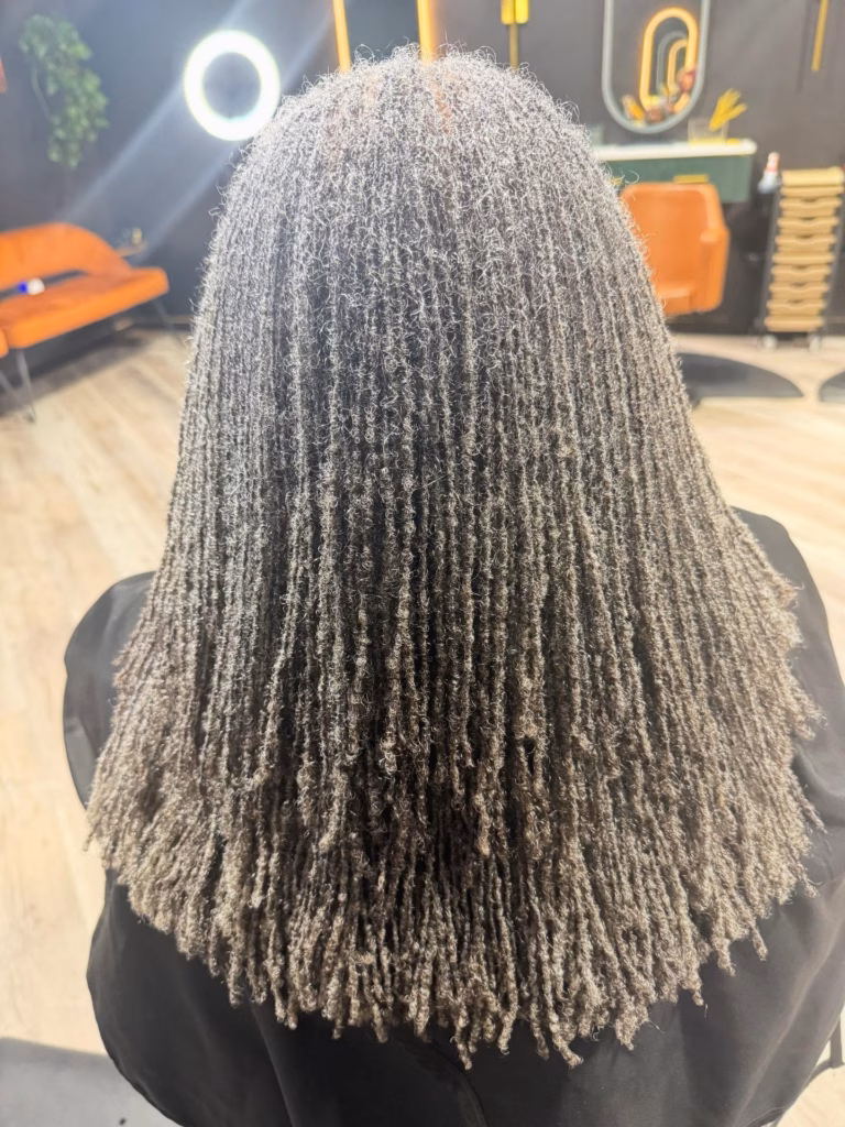 Full Silver and Charcoal Sisterlocks with Fluffy Texture from the Back