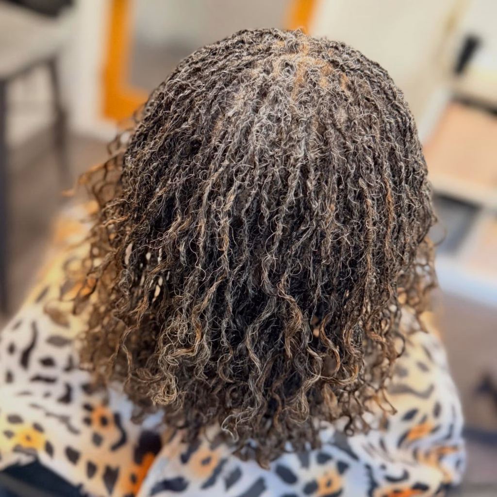 Silver and Black Sisterlocks with Full Curly Ends from the Back