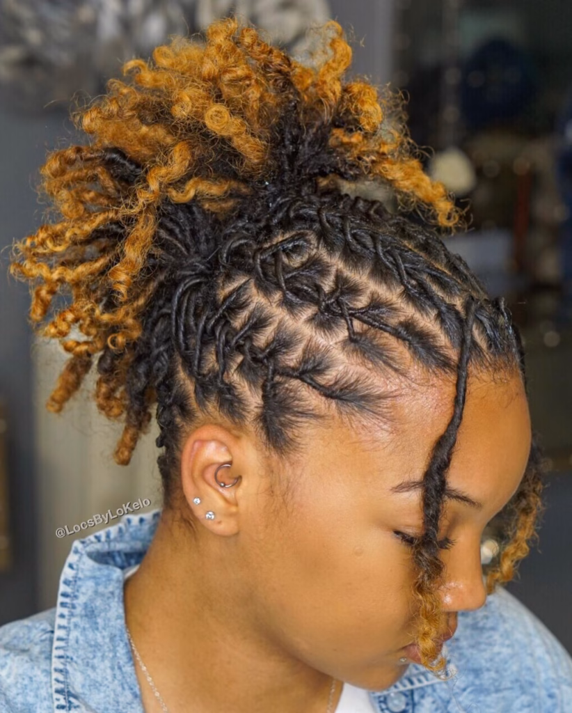 High Loc Bun with Honey Blonde Ends and Face-Framing Tendrils