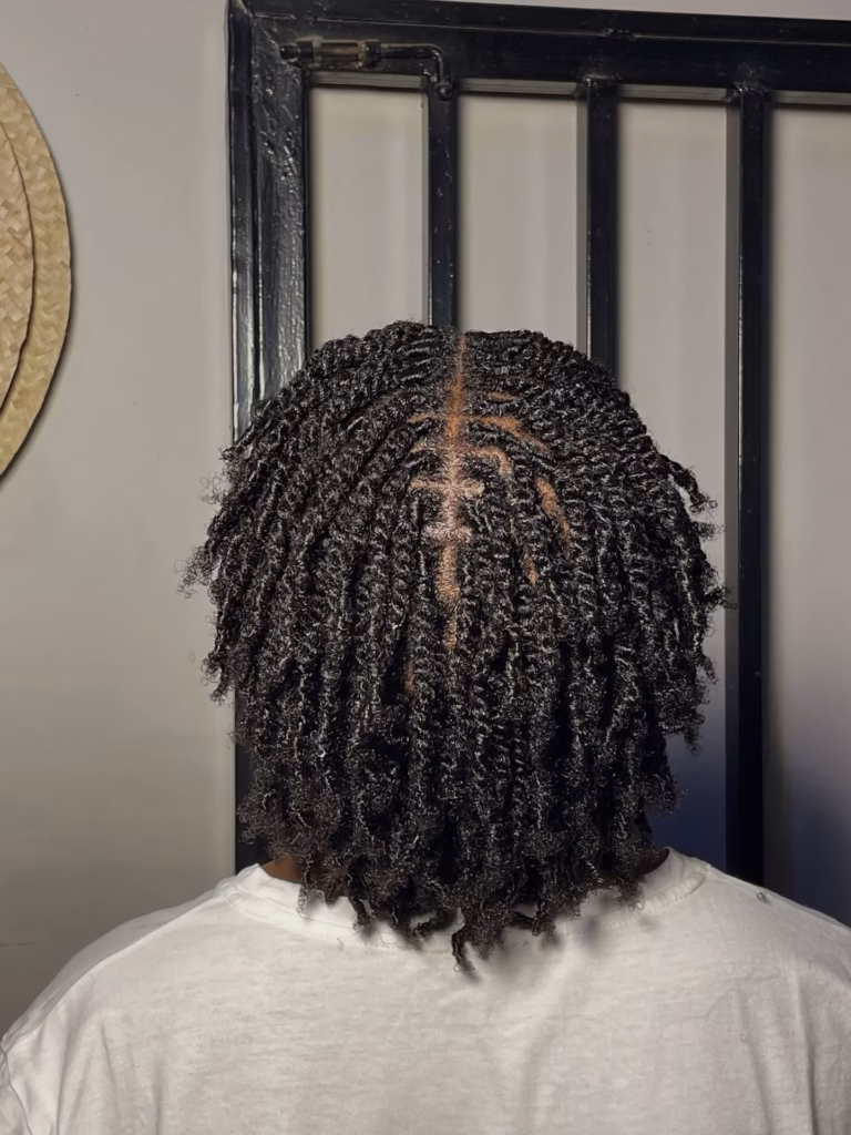 Two Strand Twists