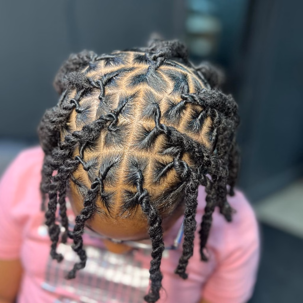 Comb Coils vs Two-Strand Twists